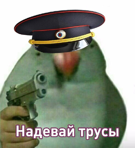 JK0Edh7RLvHUVXvTKqYggo2SZSrmbxiY0lyAjrGmghcyOOFGa vRW NSGgbcp7pzMQyCTzZ3yhCDtN4HVB8pXE9aGEfvkiAKtjdW.jpg