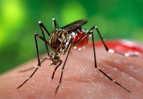 YbTfyEzPlS0V4q4gol6IUtzuf6uOSdPkQeBtMA6IoZGOISgObOjaPUgffNCfEVGs Y Ljbw4VEvDQk3cf1FVjHjwre8kKIjnpXkG.jpg