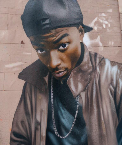 202451155311694~2 (1).png