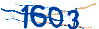 captcha.png