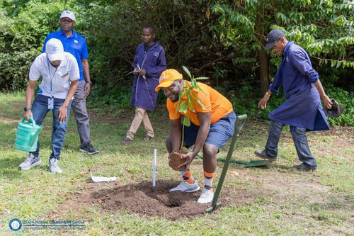 450811419 1047749057004308 1390624491491710247 n.jpg?stp=dst jpg p526x395& nc cat=102&ccb=1 7& nc si.jpg