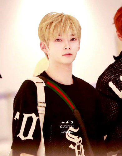 Screenshot 20240716 131756 com.sina.weibo edit 663986905626286.jpg