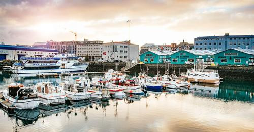 5029922851642095342?url=https%3A%2F%2Fcdn.prod.www.spiegel.de%2Fimages%2F81df1536 6d55 4b41 8492 362.jpg