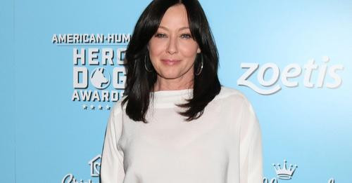 3529453224684013727?url=https%3A%2F%2Falbum.mediaset.es%2Feimg%2F2024%2F04%2F02%2Fla actriz shannen .jpg