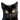 45AB8144 F580 41B5 AD90 BE2525B3D313.png