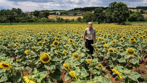 451207596 1237429354340662 2669505594601839055 n.jpg?stp=dst jpg s600x600& nc cat=103&ccb=1 7& nc si.jpg