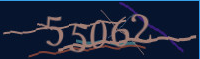 captcha.png