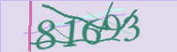 captcha.png