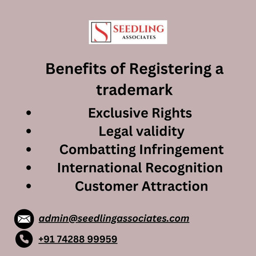 Trademark Registration Process in India.jpg