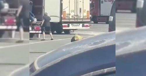 18048792963022656014?url=https%3A%2F%2Fwww.ilpost.it%2Fwp content%2Fuploads%2F2024%2F07%2F16%2F17211.jpg