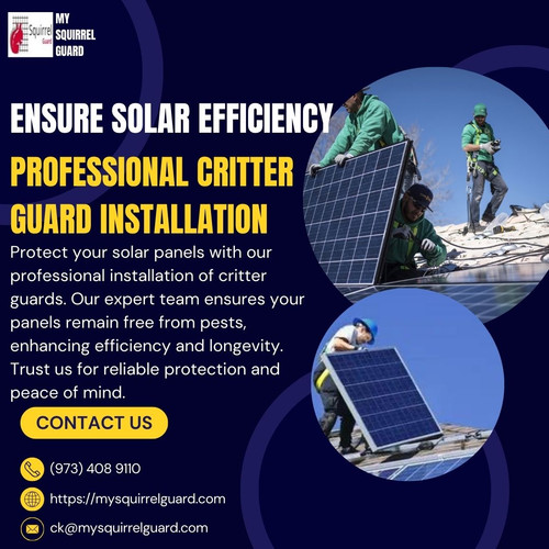 Ensure Solar Efficiency with Professional Critter Guard Installation.jpg