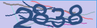 captcha.png