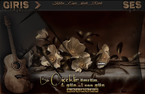 Lady Nur Bir çiçektir ömrüm Sade.jpg