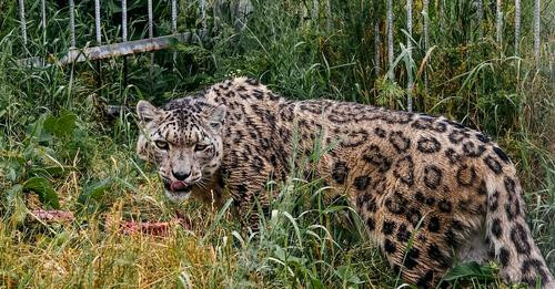 2812334317679305737?url=https%3A%2F%2Fmrmondialisation.org%2Fwp content%2Fuploads%2F2024%2F07%2Fdsc .jpg