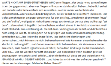 Fliegen.png