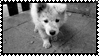 d4c0mj5 e1563689 d863 4ca4 affd 24a00d99a0bc.gif