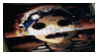 d6d74c1 cb0242f0 cde2 422e 9a95 03a1e7cfa50d.gif