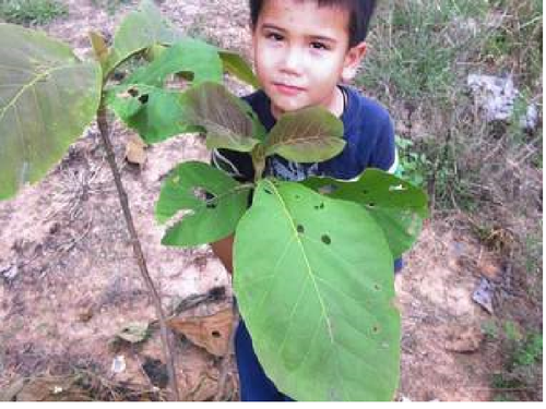 mortgage audit program.png