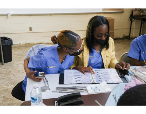 Which Is The Most.jpg