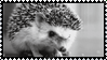 d48ndjw 419b0cff 1558 4fe4 bc8d c4cc4d3554da.gif