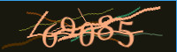 captcha.png