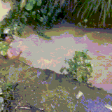 钓鱼佬看不得这个.gif