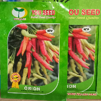 055124e0dd0b.png