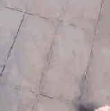雄霸玩了大半集的天竺火匣.gif