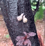 你比王母娘娘还他妈狠.gif