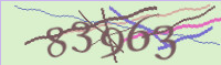 captcha.png