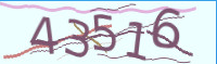 captcha.png