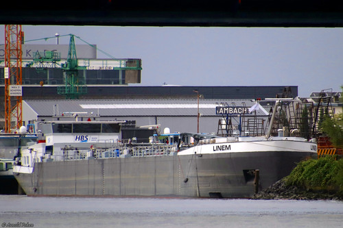 Linem 2.jpg