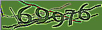 captcha.png