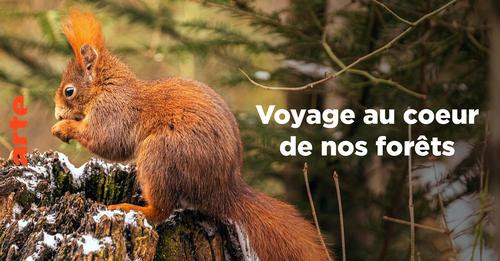 7845458058119840175?url=https%3A%2F%2Fapi cdn.arte.tv%2Fimg%2Fv2%2Fimage%2FJZje4aTj6oi24fwUnS2KPo%2F.jpg