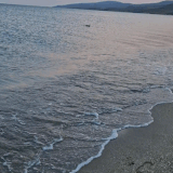 1000063089.gif