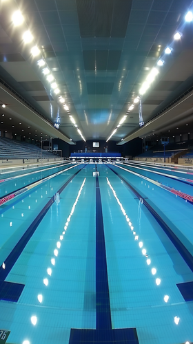 louispietsch 36677 olympic swimming pool size outdoor ar 91 391279ea bf8e 49a6 b471 5c61574a7733 1.png