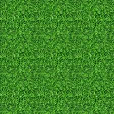 image 2024 07 13 190950761.png