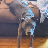 photo 2023 11 05 18 35 05