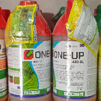 fe2884c571a6.png