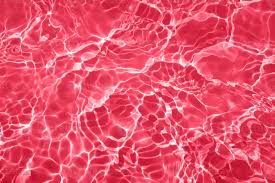 image 2024 07 13 210336421.png