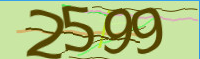 captcha.png