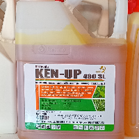b2749413675f.png