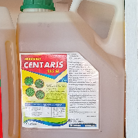 cb54558d4cc7.png