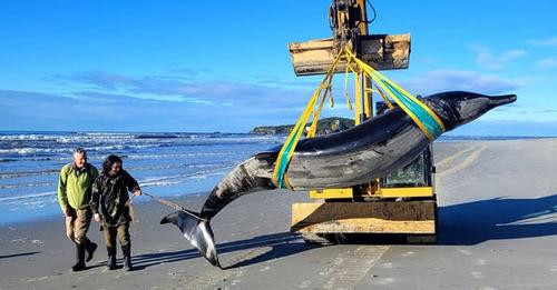 5884069040795688987?url=https%3A%2F%2Fvid.alarabiya.net%2Fimages%2F2024%2F07%2F16%2F7f7cd0cf 7292 46.jpg