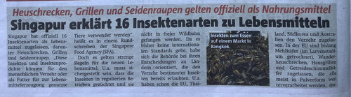 singapur insekten.jpg