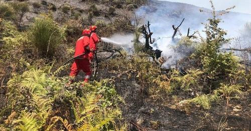 2996154365321492119?url=https%3A%2F%2Fwww.btvnews.al%2Fwp content%2Fuploads%2F2024%2F07%2Flop.jpeg&f.jpg