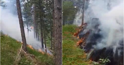 10350250983658418219?url=https%3A%2F%2Fgazetashqiptare.al%2Fwp content%2Fuploads%2F2024%2F07%2Fzjarr.jpg