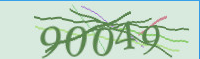 captcha.png