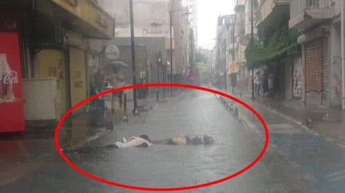 450613045 797882845854050 3354604700266487041 n.jpg? nc cat=104&ccb=1 7& nc sid=833d8c& nc ohc=UEIoM.jpg