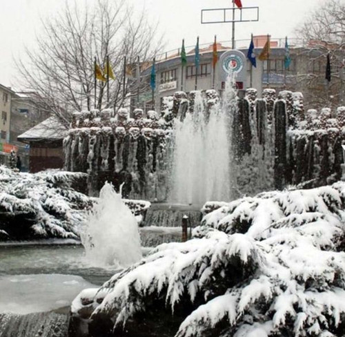 450940522 878455130975707 637434724035832956 n.jpg?stp=dst jpg s600x600& nc cat=110&ccb=1 7& nc sid=.jpg